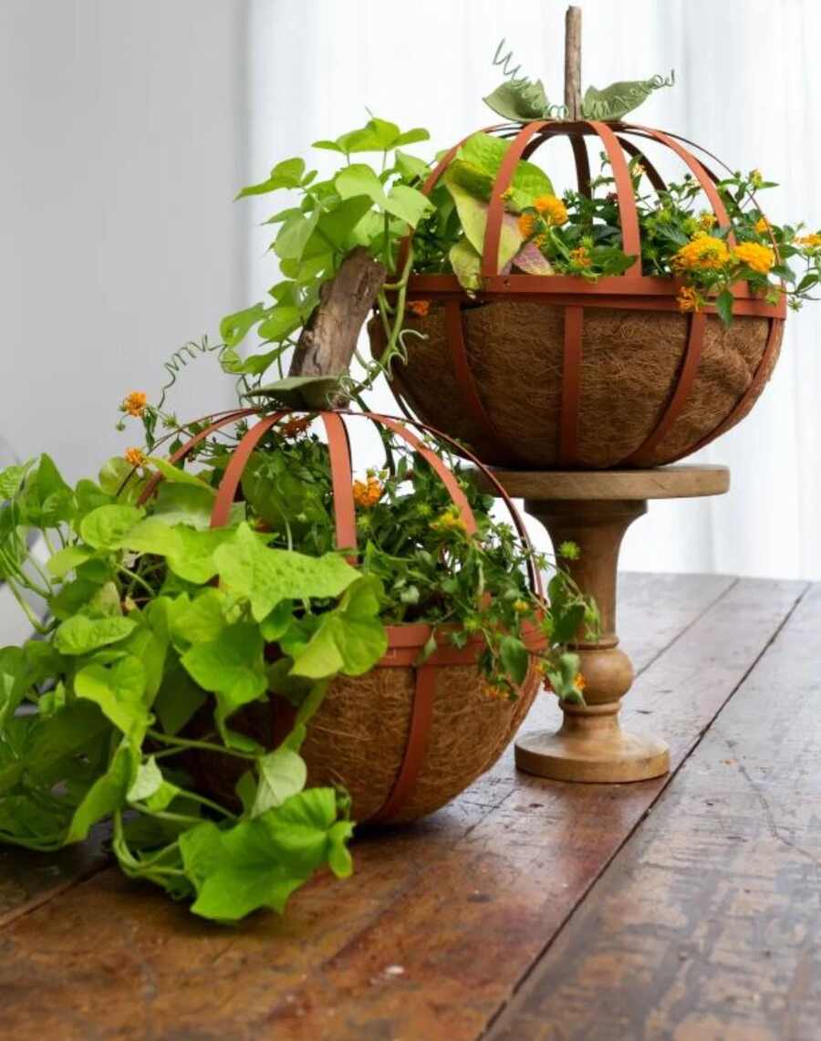 Pumpkin Table Planters