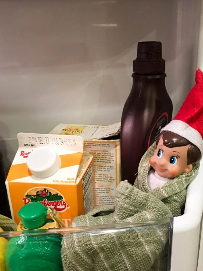 Elf in the Refrigerator