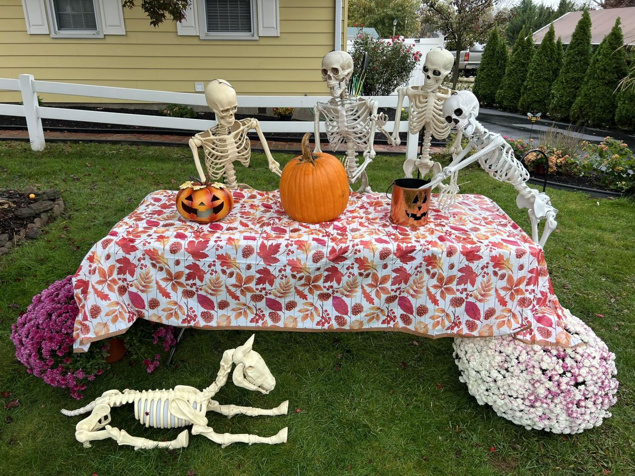 Skeletons Enjoying Pumpkin Carving