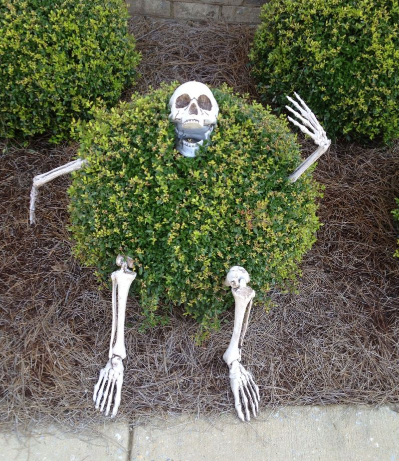 Sneaky Skeleton in Bush