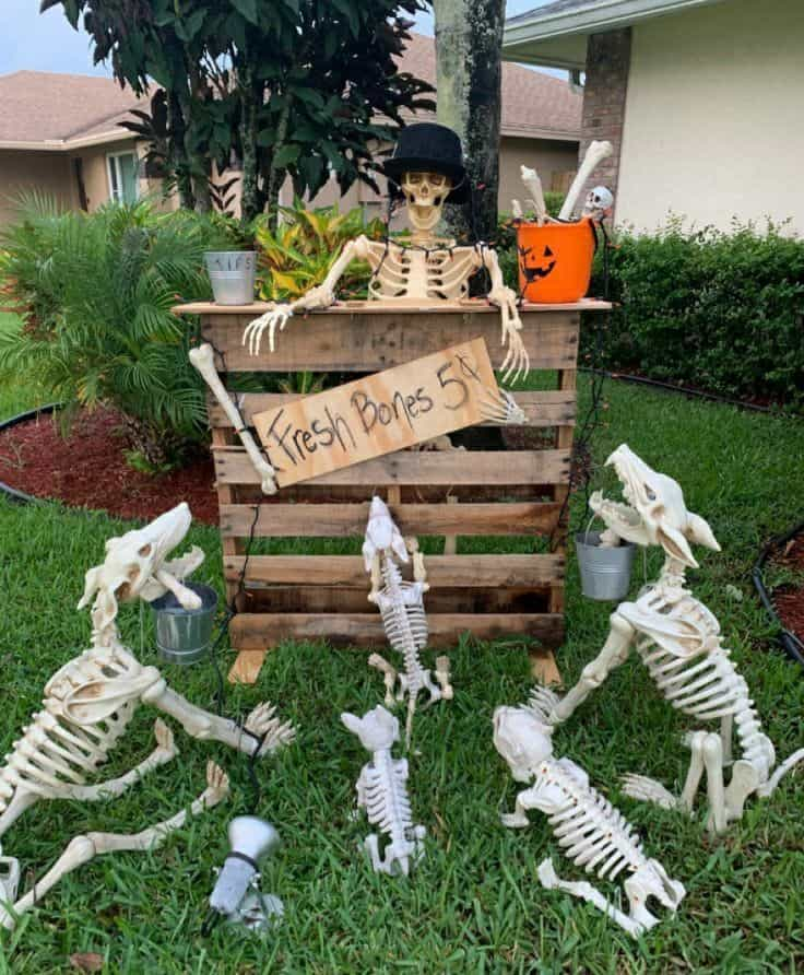 Bone Stand Spooky Treats